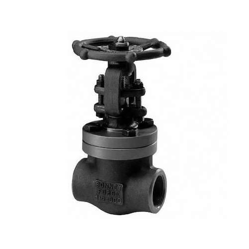 شیر سوزنی 2 اینچ كلاس 800 A105 FBV